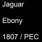 Preview: Jaguar, Ebony, 1807 / PEC.